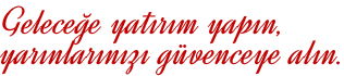 header-text